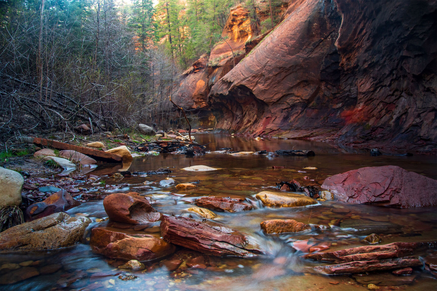 2022 Nature Adventure Photo Contest